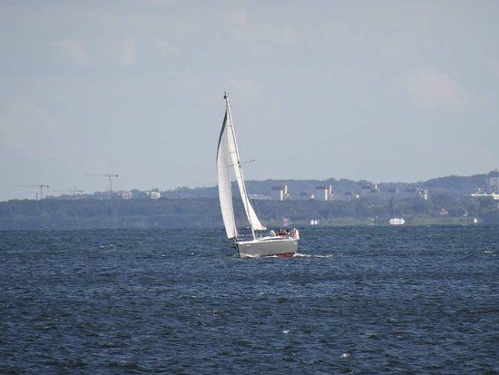 Plażowanie na miejskiej plaży